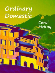 The cover of Ordinary Domestic